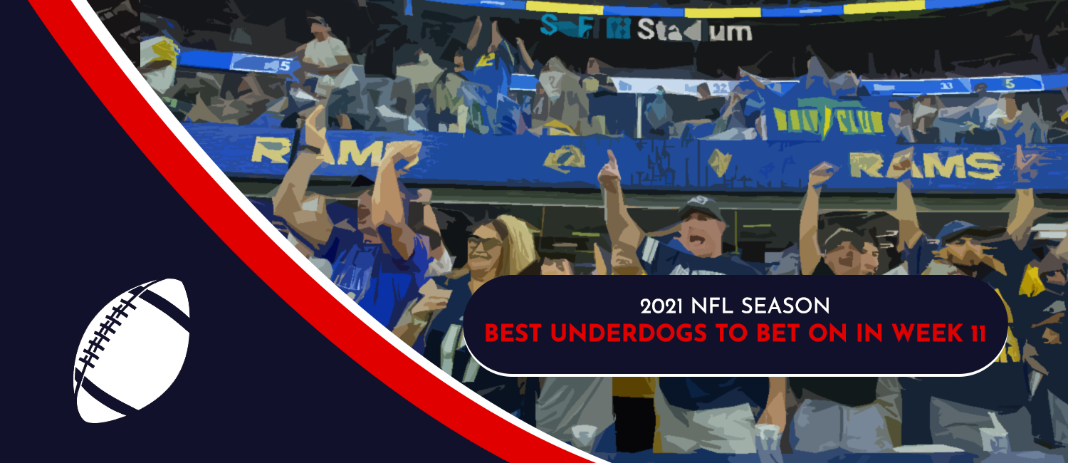 Top 2021 NFL Week 11 Betting Underdogs