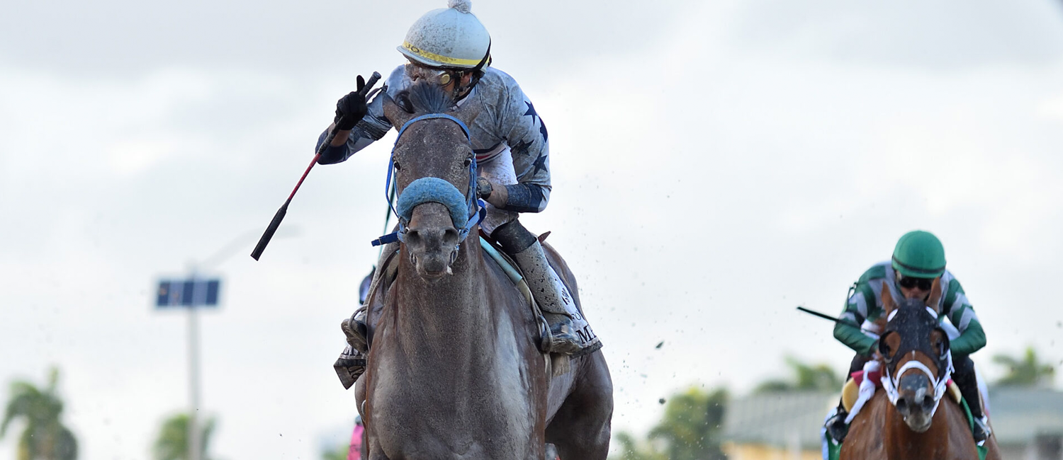 2022 Preakness Stakes Betting Guide